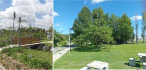 Crear un pequeño “Rosedal” en Alberdi y Murias